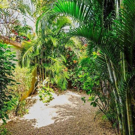 Villa Tropicale Balinaise Intimiste Гранд Байе Екстериор снимка