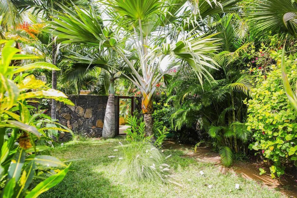 Villa Tropicale Balinaise Intimiste Гранд Байе Екстериор снимка